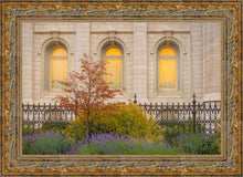 Load image into Gallery viewer, Salt Lake Autumn Detail
