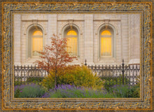Load image into Gallery viewer, Salt Lake Autumn Detail
