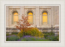 Load image into Gallery viewer, Salt Lake Autumn Detail
