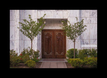 Load image into Gallery viewer, Portland Doors
