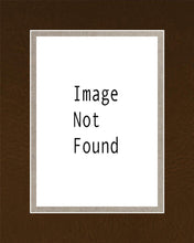 Load image into Gallery viewer, Mesa Palm Trees

