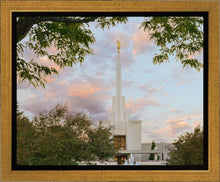 Load image into Gallery viewer, Denver Temple 01
