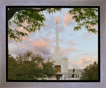 Load image into Gallery viewer, Denver Temple 01
