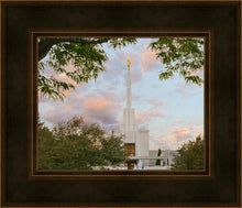 Load image into Gallery viewer, Denver Temple 01

