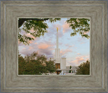 Load image into Gallery viewer, Denver Temple 01
