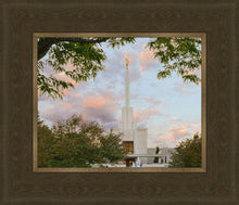 Load image into Gallery viewer, Denver Temple 01
