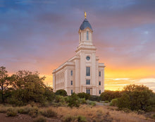 Load image into Gallery viewer, Cedar City Genesis
