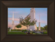 Load image into Gallery viewer, Boise Detail
