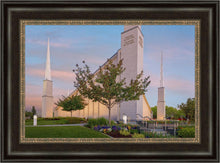 Load image into Gallery viewer, Boise Detail
