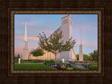 Load image into Gallery viewer, Boise Detail
