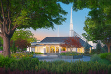 Load image into Gallery viewer, Boise Garden of Eden
