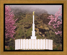 Load image into Gallery viewer, Provo Oncoming Storm
