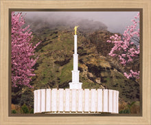 Load image into Gallery viewer, Provo Oncoming Storm
