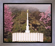 Load image into Gallery viewer, Provo Oncoming Storm
