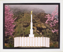 Load image into Gallery viewer, Provo Oncoming Storm
