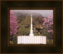 Load image into Gallery viewer, Provo Oncoming Storm
