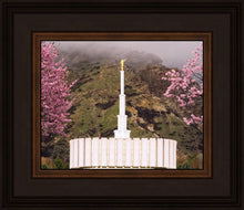 Load image into Gallery viewer, Provo Oncoming Storm

