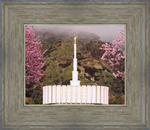 Load image into Gallery viewer, Provo Oncoming Storm
