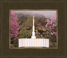Load image into Gallery viewer, Provo Oncoming Storm
