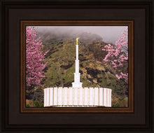 Load image into Gallery viewer, Provo Oncoming Storm

