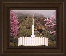 Load image into Gallery viewer, Provo Oncoming Storm
