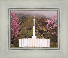 Load image into Gallery viewer, Provo Oncoming Storm
