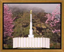 Load image into Gallery viewer, Provo Oncoming Storm
