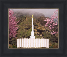 Load image into Gallery viewer, Provo Oncoming Storm

