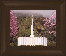 Load image into Gallery viewer, Provo Oncoming Storm
