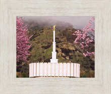 Load image into Gallery viewer, Provo Oncoming Storm
