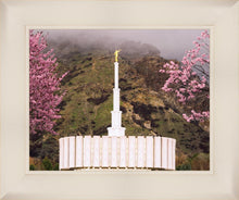 Load image into Gallery viewer, Provo Oncoming Storm
