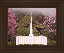 Load image into Gallery viewer, Provo Oncoming Storm
