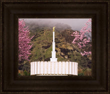 Load image into Gallery viewer, Provo Oncoming Storm
