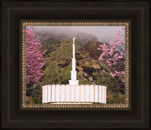 Load image into Gallery viewer, Provo Oncoming Storm
