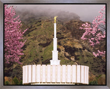 Load image into Gallery viewer, Provo Oncoming Storm
