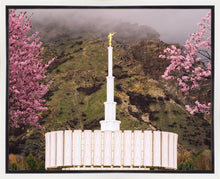 Load image into Gallery viewer, Provo Oncoming Storm
