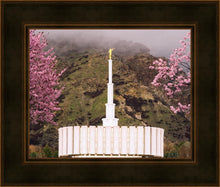 Load image into Gallery viewer, Provo Oncoming Storm
