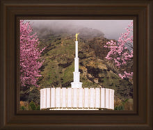 Load image into Gallery viewer, Provo Oncoming Storm
