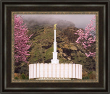 Load image into Gallery viewer, Provo Oncoming Storm
