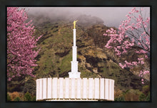 Load image into Gallery viewer, Provo Oncoming Storm
