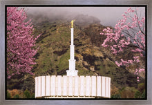 Load image into Gallery viewer, Provo Oncoming Storm

