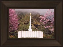 Load image into Gallery viewer, Provo Oncoming Storm
