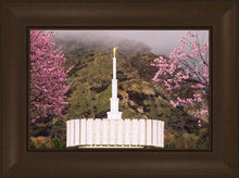Load image into Gallery viewer, Provo Oncoming Storm
