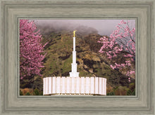 Load image into Gallery viewer, Provo Oncoming Storm
