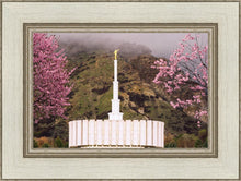 Load image into Gallery viewer, Provo Oncoming Storm

