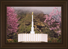 Load image into Gallery viewer, Provo Oncoming Storm
