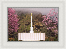 Load image into Gallery viewer, Provo Oncoming Storm

