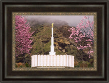 Load image into Gallery viewer, Provo Oncoming Storm
