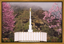 Load image into Gallery viewer, Provo Oncoming Storm

