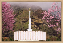 Load image into Gallery viewer, Provo Oncoming Storm
